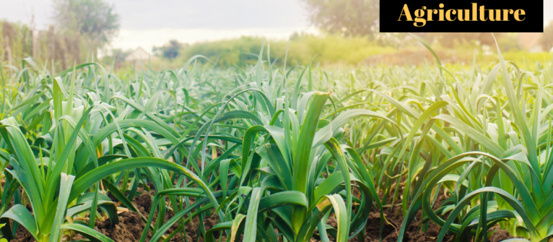 Regenerative Agriculture - Greenpreneur.in